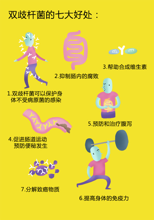 中老年人肠道益生菌